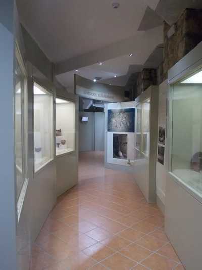 A corridor with display cabinets inside Museo Civico Nepi